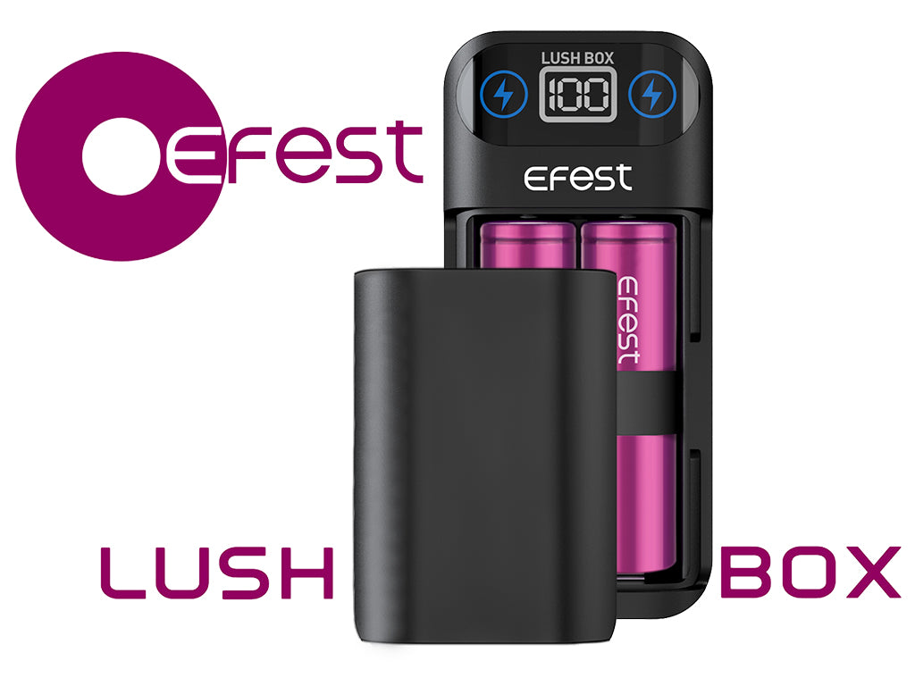 EFEST LushBox - 2-Schacht Li-Ionen Akku Reiseladegerät & Powerbank